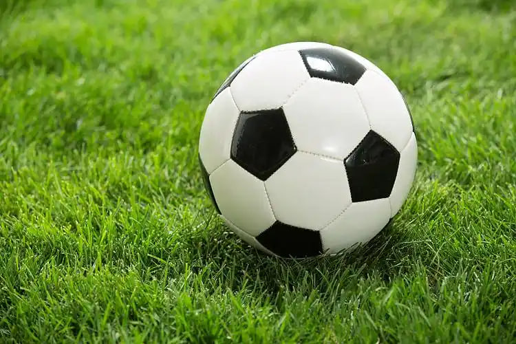 足球比分新浪新版实时数据展示界面